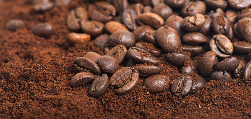 Quais são os tipos de café existentes?